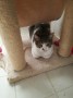 Berny (7)